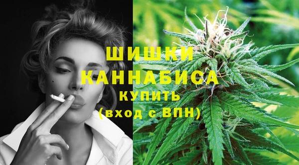 гидра Белоозёрский