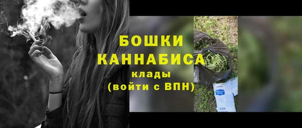 гидра Белоозёрский