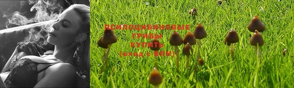 кокаин премиум Беломорск