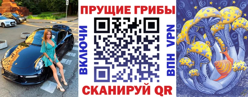 ссылка на мегу зеркало  Лабинск  Галлюциногенные грибы Cubensis 